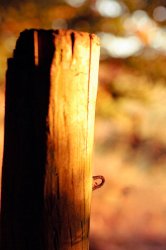 Photography_Artistic_208197.jpg
