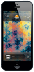 photo-2.PNG