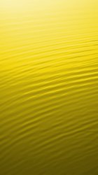 Yellow Ripples.jpg