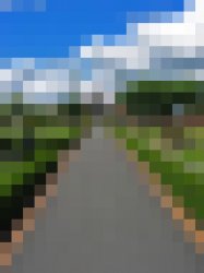 colorscheme1.jpg