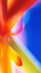 Flower Blur 01.jpg