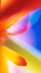 Flower Blur 02.jpg