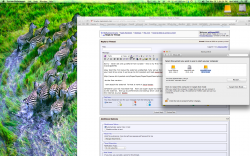Screen Shot 2013-05-28 at 1.04.34 PM.png