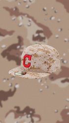 Desert Camo Cap 01.jpg