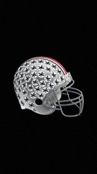 Buckeyes 03.jpg