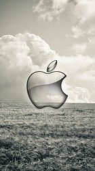 Cloudy Field Apple.jpg