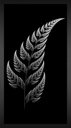 Silver Fern.jpg