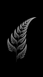 Silver Fern 03.jpg