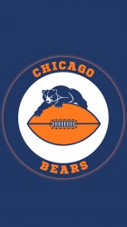 Bears 03.jpg