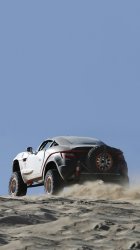 Rally Fighter 02.jpg