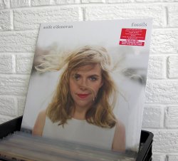 002_AOIFE_ODONOVAN_fossils_NEW_VINYL_at_wild_honey_records.jpg