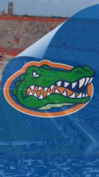 Gators Swamp 03.jpg