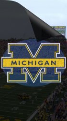 Michigan Wolverines.jpg