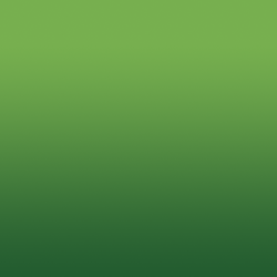 lightgreen.png