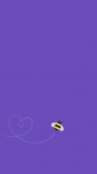 Purple Bee 01.jpg