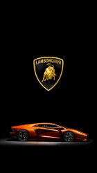 Lamborghini 03.jpg