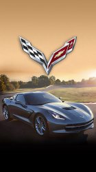 2014 Corvette 01.jpg