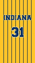 Indiana Pacers 01.jpg