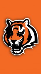 Bengals 03.jpg