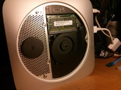 IMG_20130807_005508.jpg