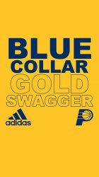 Pacers Adidas.jpg