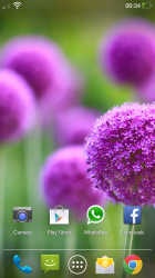 Screenshot_2013-08-10-00-34-41.png