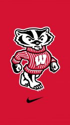 Badgers 03.jpg