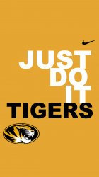 Tigers Nike gold.jpg