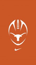 Texas Longhorns 01.jpg