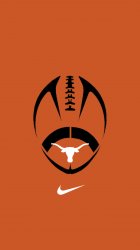 Texas Longhorns 02.jpg