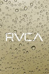 RVCA 10.jpg