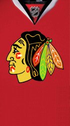 Blackhawks 02.jpg