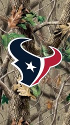 Houston Texans 03.jpg