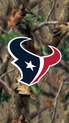 Houston Texans 04.jpg