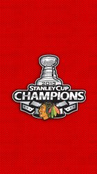 Blackhawks Champs 2013.jpg