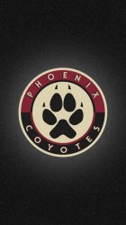 Phoenix Coyotes 01.jpg