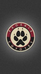 Phoenix Coyotes 02.jpg