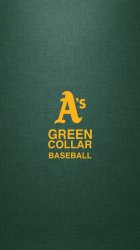 A's Green Collar 02.jpg