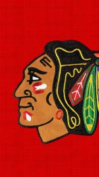 Blackhawks 02.jpg