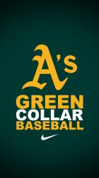 A's Green Collar.jpg