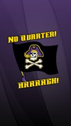 ecu flag.JPG