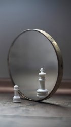 Mirror Chess.jpg