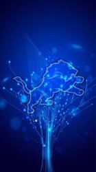 Lions overlay.jpg