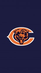 Bears 02.jpg