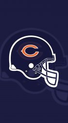 Bears 03.jpg