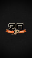 Anaheim Ducks 20th 02.jpg