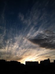 Bondi Sunset.jpg