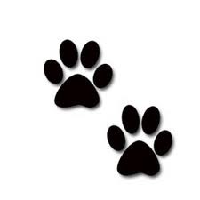 2 dog paws.jpg