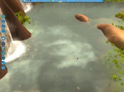water.jpg