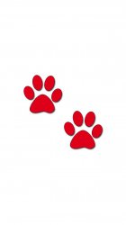 Red Paws.jpg